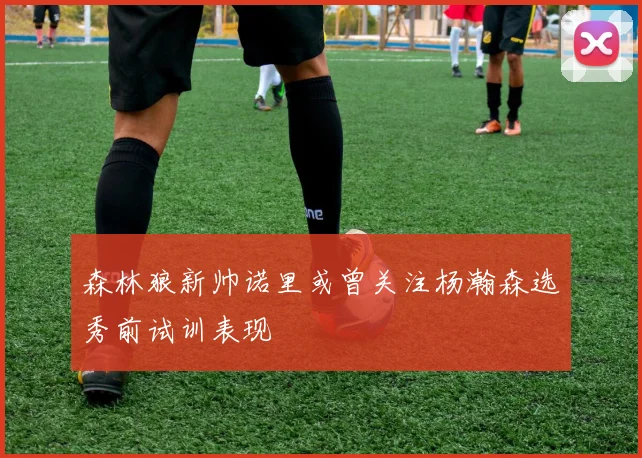 森林狼新帅诺里或曾关注杨瀚森选秀前试训表现